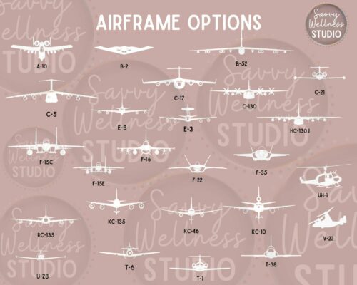 Custom airframe choices in white with labels underneath