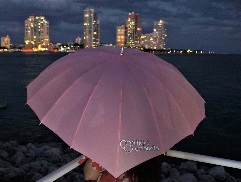 Amor Umbrella Logo