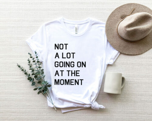 Bella Canvas 3001 unisex adult white T-shirt with saying, “Not a lot going on at the moment.” Show off your Swiftie Love
