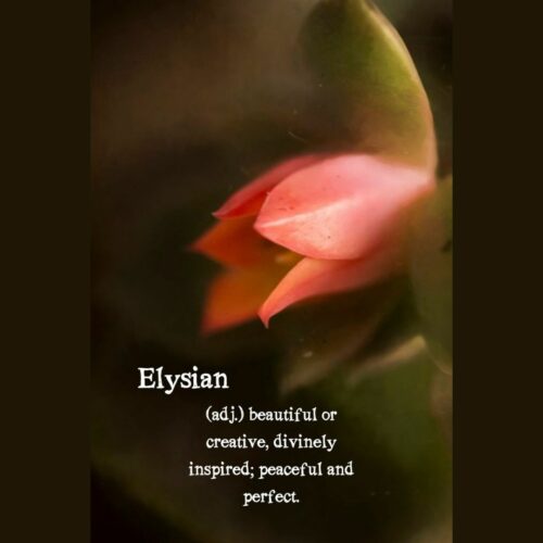 Elysian Nature Photo Vinyl Sticker