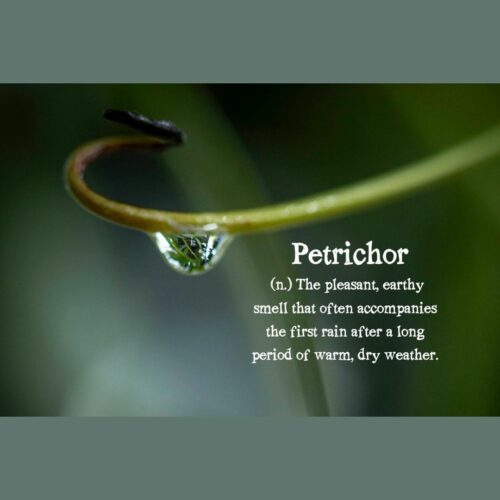 Petrichor Water drop Nature Vinyl Photo Sticker